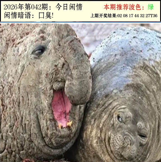 042期今日闲情2[图]