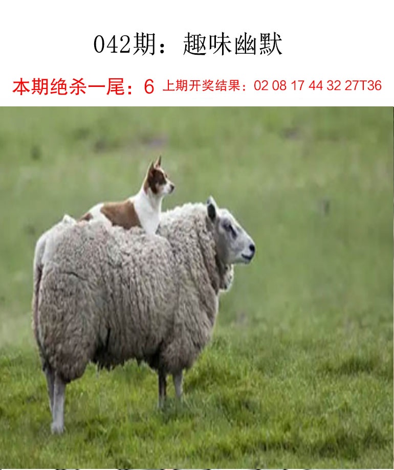 042期趣味幽默[图]