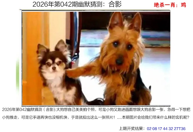 042期幽默猜测[图]