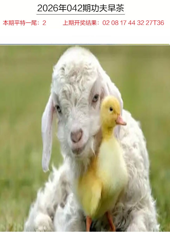 042期功夫早茶[图]