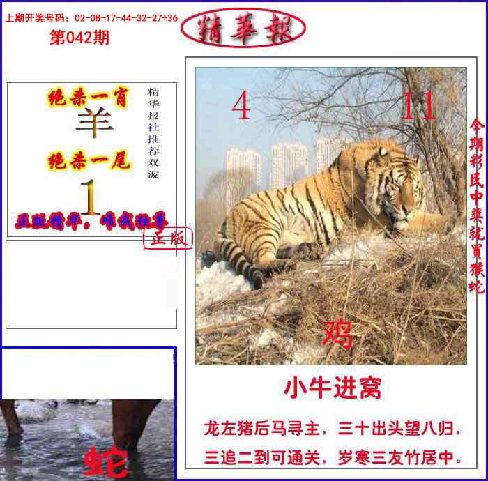 042期新精华报报[图]