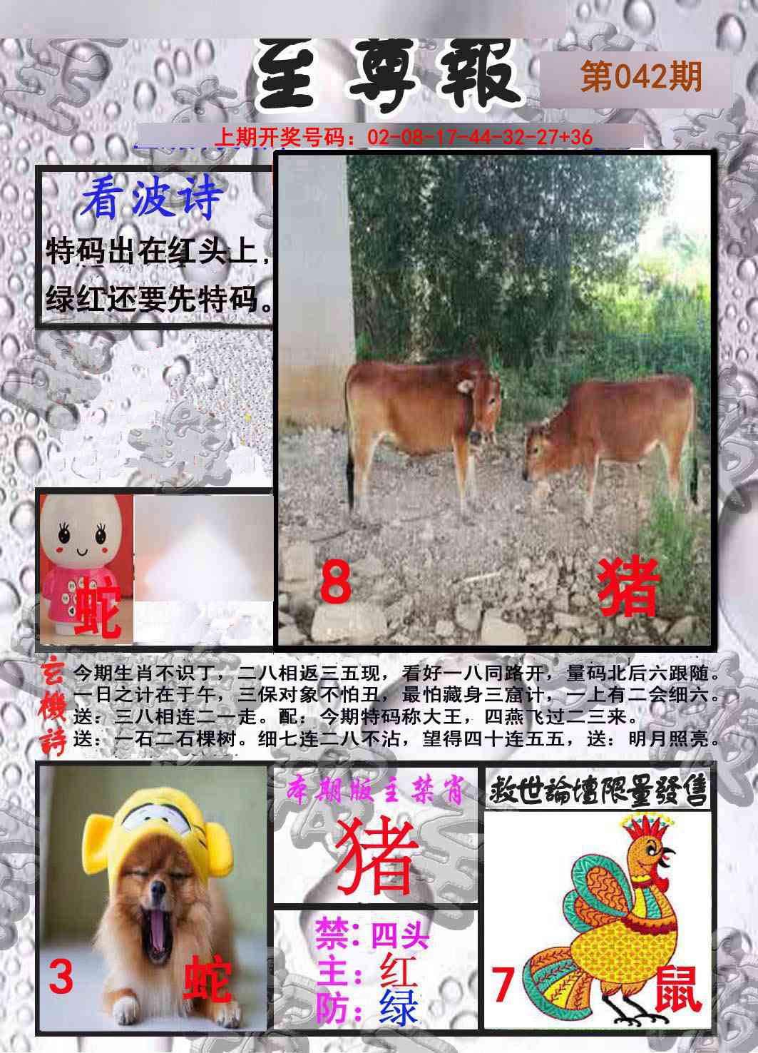 042期至尊报[图]