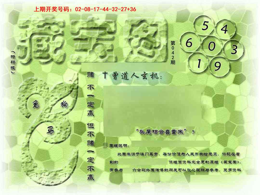 042期假新藏宝图[图]