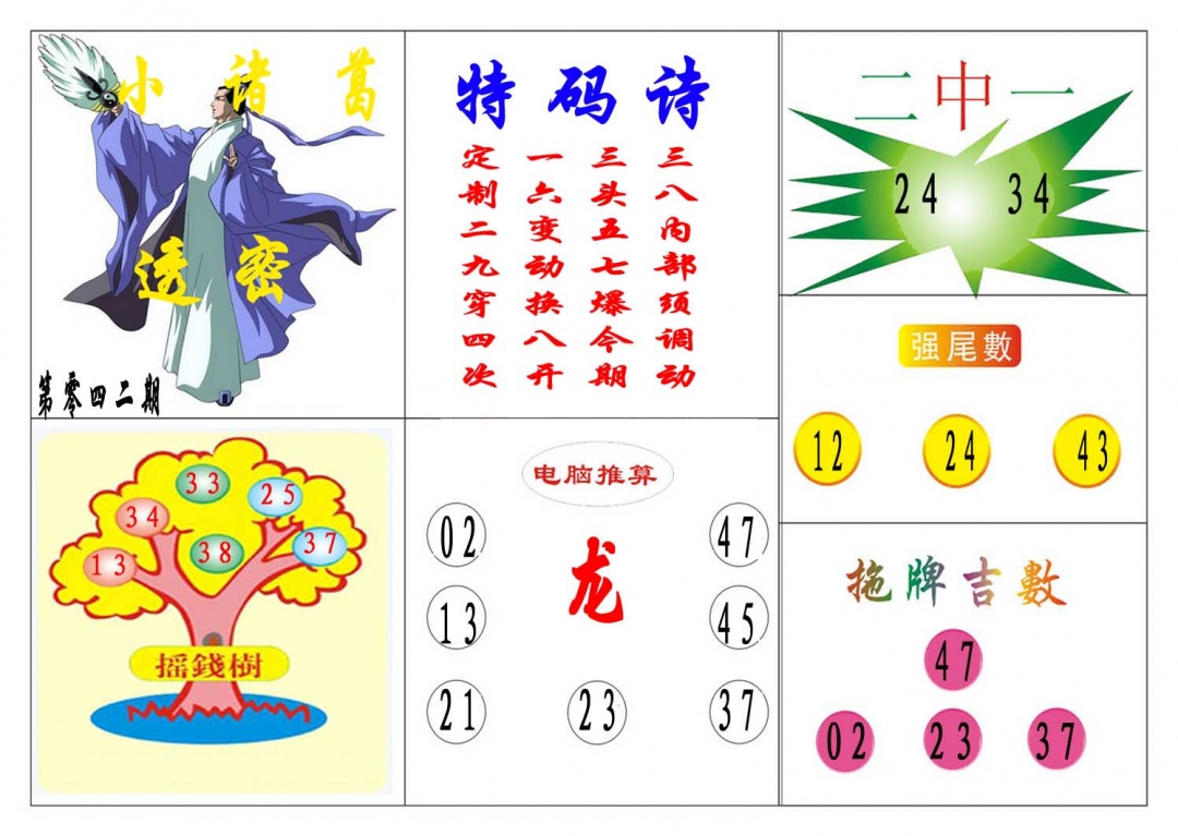 042期小诸葛[图]
