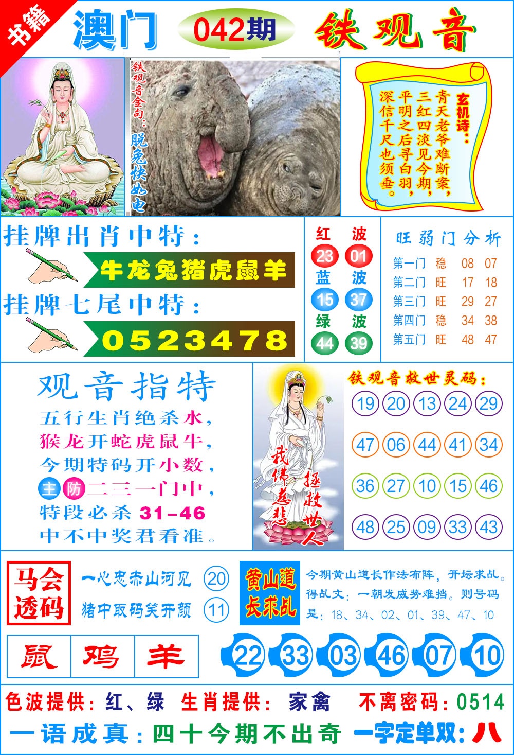 042期澳门铁观音[图]