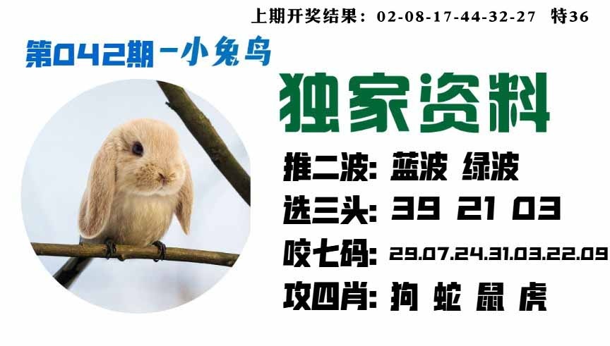 042期小兔鸟[图]