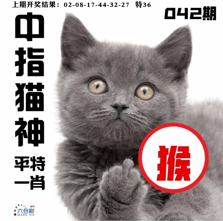 042期中指猫神[图]